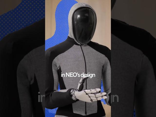 NEO: A Humanoid Robot for the Home by 1X