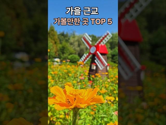 근교 이색 가을 나들이 가볼만한곳 베스트 5 #나들이 #가을나들이 경기도 주도권  주말여행 #주말나들이 #근교나들이 대중교통 #피나크닉 #힐링 #산책