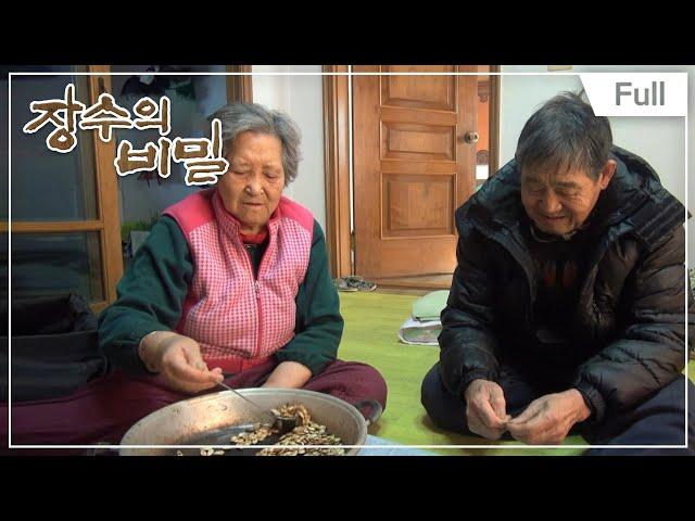 [Full] 장수의 비밀 - 짠순 할매와 구시렁 할배의 동고동락 겨울나기