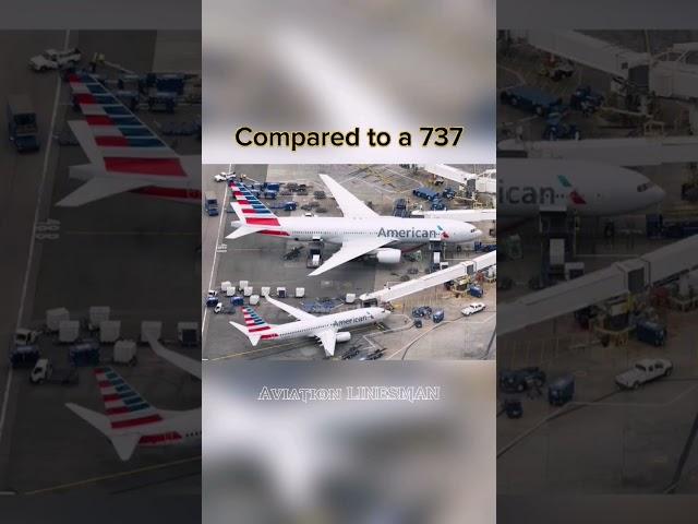 True size of the 777. #aviation #aircraft #boeing #777 #737 #a319 #engines #size #comparison