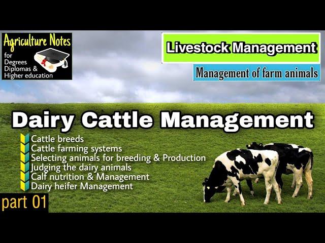 Dairy cattle management lessons presentation Agriculture Notes for higher education degree diploma