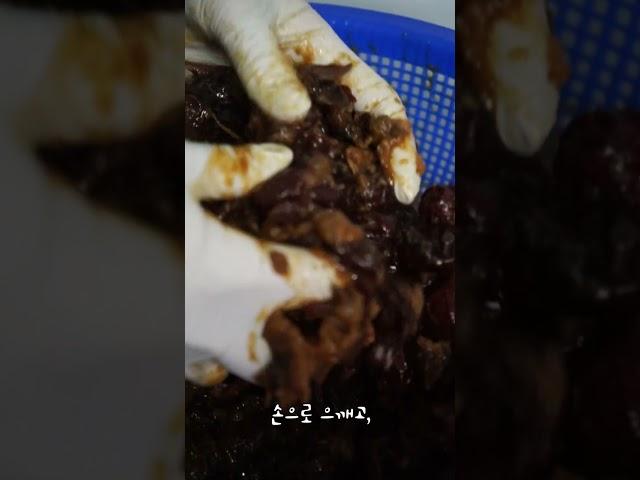 수제청연구가의 대추고제작과정! #shorts #쇼츠 #대추고 #수제청 #과일청 #수제차 #건조과일 #홈카페 #홈메이드