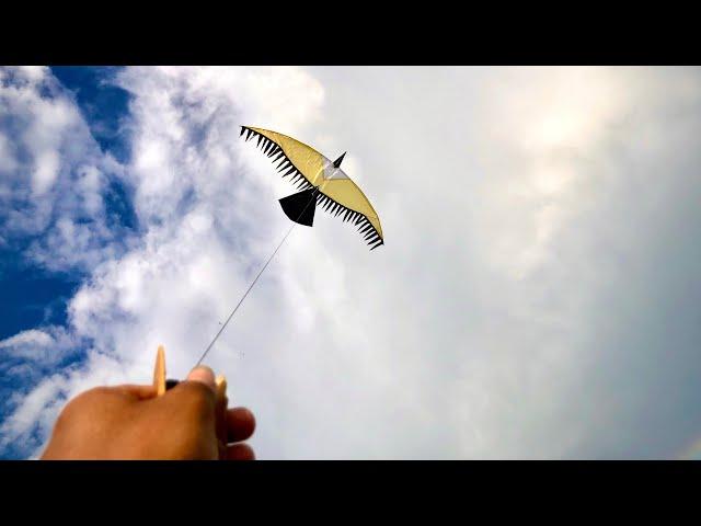 How to make a wau eagle kite from a coconut stick