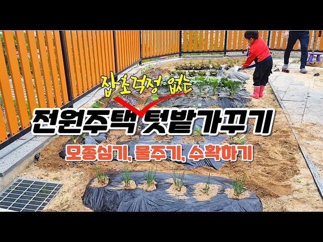 잡초없이 텃밭만들기│전원주택 텃밭만들기 │ 모종 심기 │슬기로운 전원생활