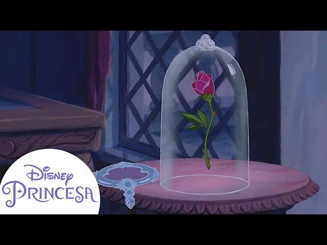 ¿Cómo empiezan los relatos de las historias de Princesas? Compilado | Disney Princesa