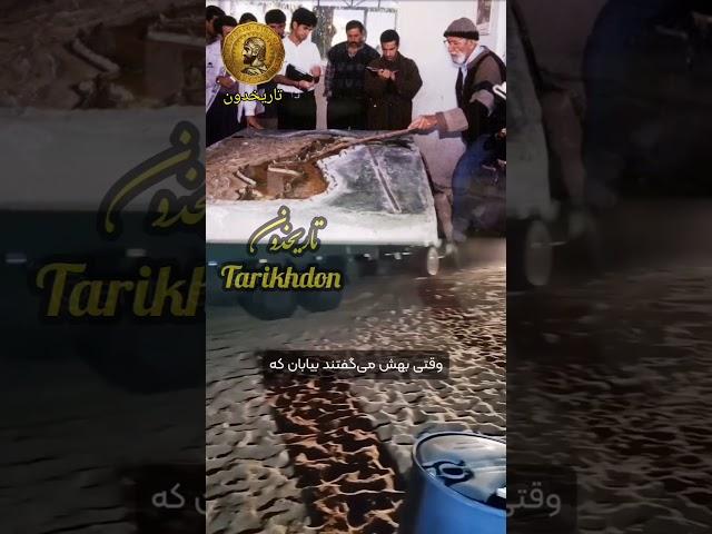 تبدیل پنجاه هزار هکتار بیابان به جنگل توسط یک ایرانی #بیابان #جنگل #شیراز #درختکاری #ایران #ترند #آب