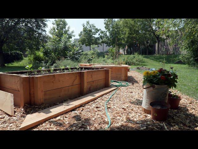 Princeton University’s “Tiny Farm”