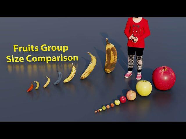 Fruit Groups Size Comparison | 3D Animation