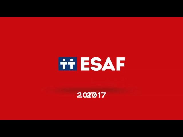 The evolution of ESAF brand identity from 1992 to 2017