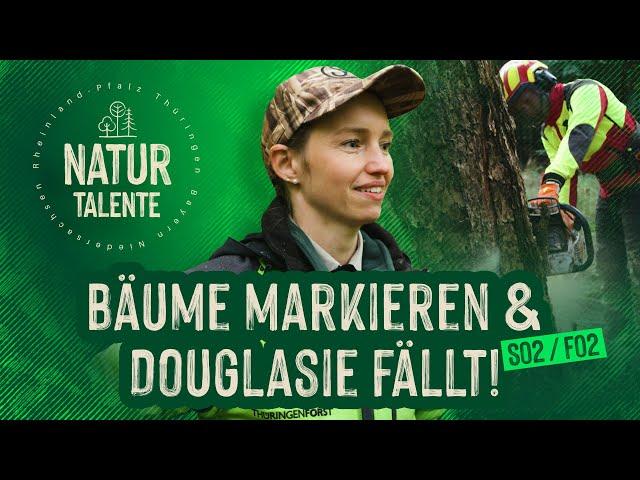 Buchen markieren und dicke Douglasien fällen! | #NATURTALENTE Folge 2 | Staffel 2