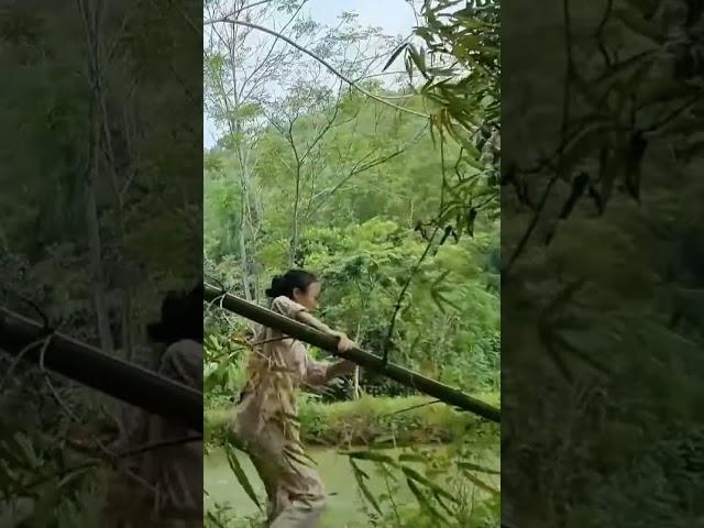 Cut bamboo to build a house #thuthuy #survival #nature #thuthuy