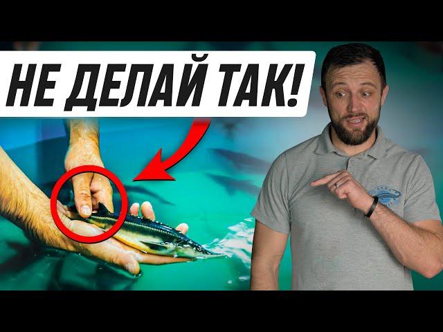 Из-за этой ОШИБКИ Рыба В УЗВ РАСТЕТ в 3 РАЗА ДОЛЬШЕ!
