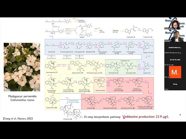 NPR Seminar | Understanding the chemistry of plant alkaloids biosynthesis in the omics era