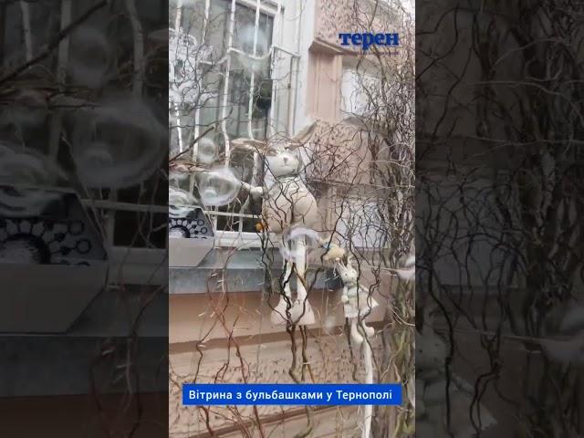 Вітрина з бульбашками у Тернополі