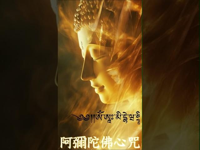 阿彌陀佛心咒,Amitabha Buddha Heart Mantra -Amita-bul