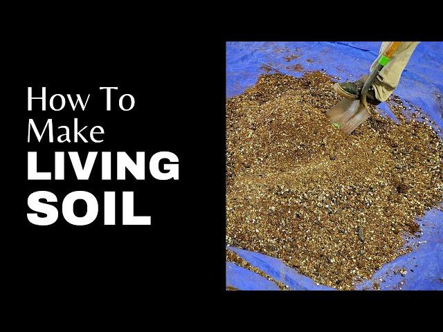 How To Make Living Soil - DIY Soil Recipe