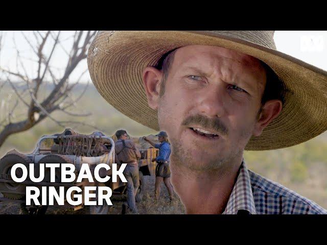 A tough crew muster feral cattle in outback Australia | Outback Ringer