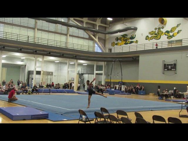 Adam Hein - Floor Exercise - 2017 Iowa State Championship