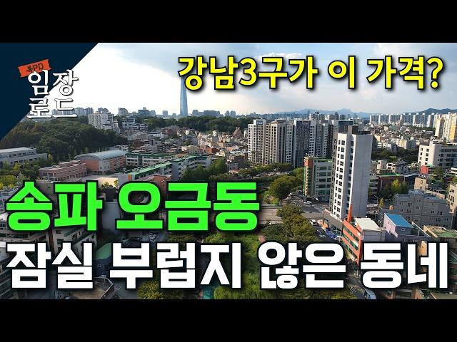 강남 3구인데 아직 저렴하다고?! | 잠실에 가려진 송파 오금동 | 똘똘한 아파트 경매 물건까지~!