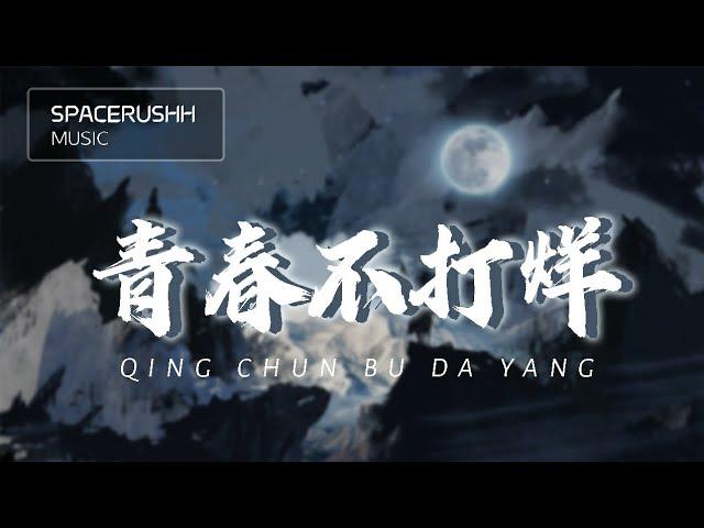 青春不打烊 Qing Chun Bu Da Yang - 王梓钰 Wang Zi Yu 拼音 [PINYIN LYRICS]