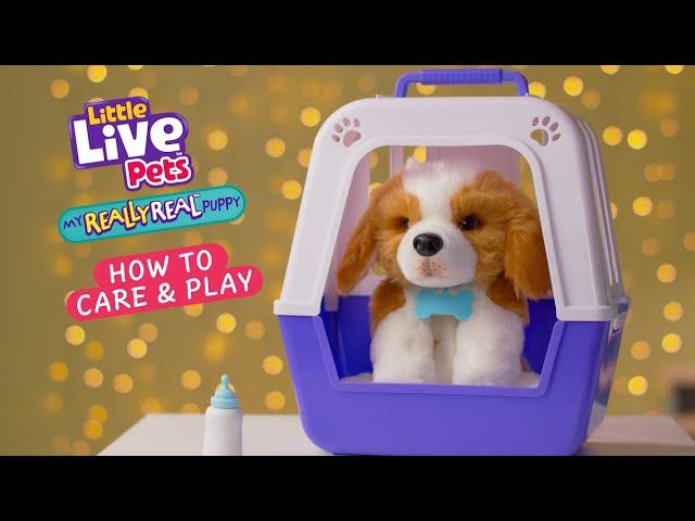 LITTLE LIVE PETS I MY REALLY REAL PUPPY HOW TO CARE AND PLAY VIDEO I