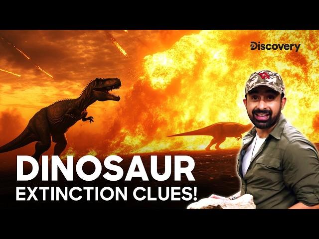 The Dinosaur Extinction Mystery! | Mystery Hunter | Promo | Discovery Channel