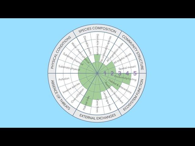 Introduction to National Standards for the Practice of Ecological Restoration. Jen Ford