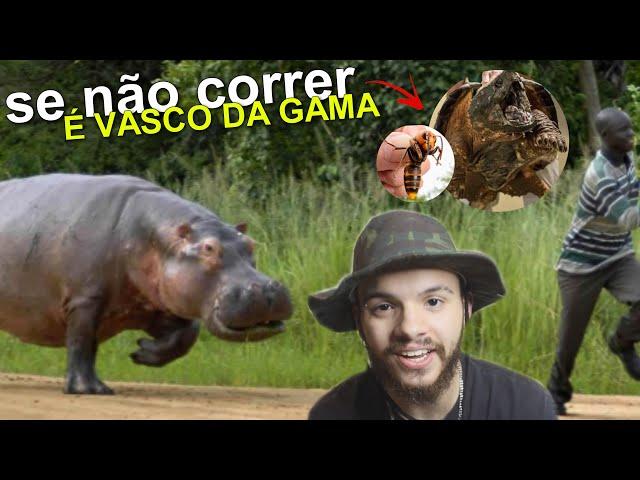 OS ANIMAIS MAIS TEMIDOS DO MUNDO (ou que deveriam ser...) | wildboppre