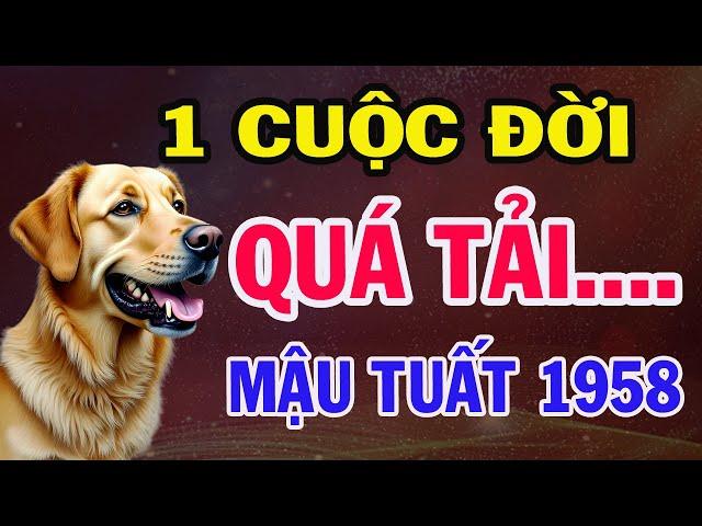 Tuổi MẬU TUẤT 1958. Sống 1 cuộc đời Quá tải. GÁNH NẶNG CUỘC ĐỜI, Mà Mình Lại Là Trụ Cột