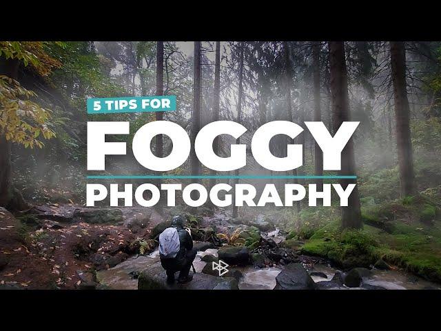 5 Tips for Foggy Photography
