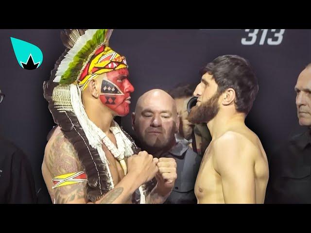 UFC 313 Alex Pereira vs Magomed Ankalaev : L'ULTIME FACE À FACE