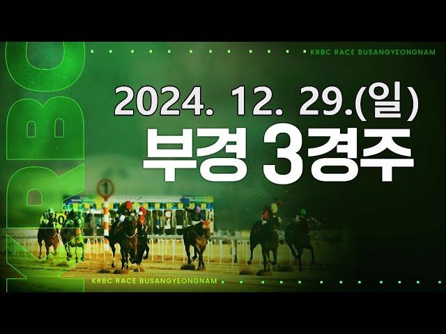 (부산) 2024.12.29 3경주