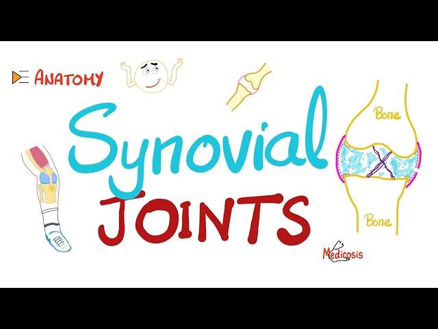 Synovial joints (Diarthroses) - Synovial fluid - Synovitis | Anatomy