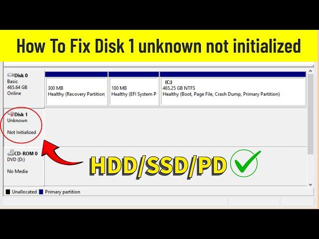 How to Fix Disk 1 Unknown Not Initialized (2025)