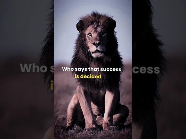 sigma rule who says that success is decided #motivation #motivationalquotes #shorts