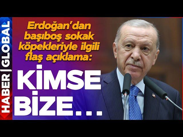 Erdoğan'dan Başıboş Sokak Köpekleriyle İlgili Son Dakika Açıklaması: Kimse Bize...