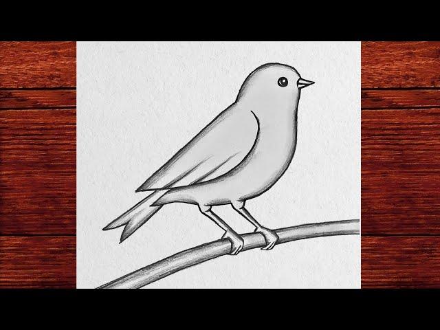 How to Draw a Bird, How to Draw Easy Bird Drawing Step by Step with Pencil Drawing, Pencil Drawings