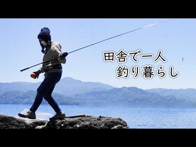 新しい釣りポイント発見とノコギリクワガタ！