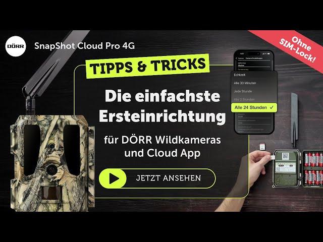 Wildkamera DÖRR CLOUD PRO 4G - Ersteinrichtung kinderleicht - ohne Simlock - kein Abo nötig