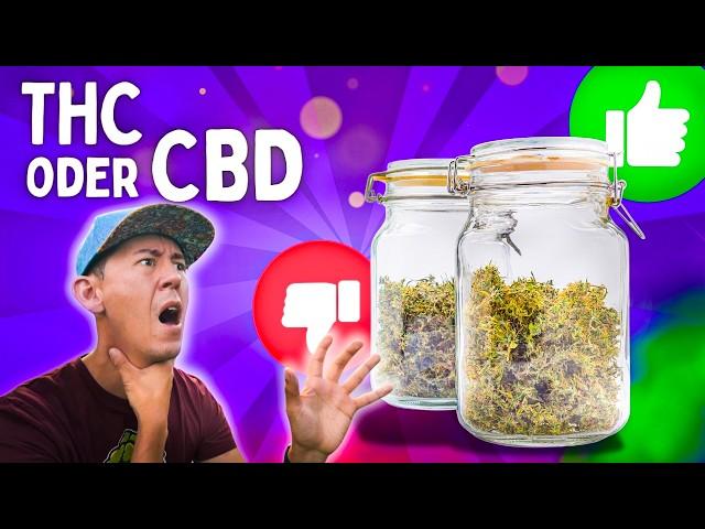 Medical weed? Whether CBD or THC  that's what really matters! Legalization Germany