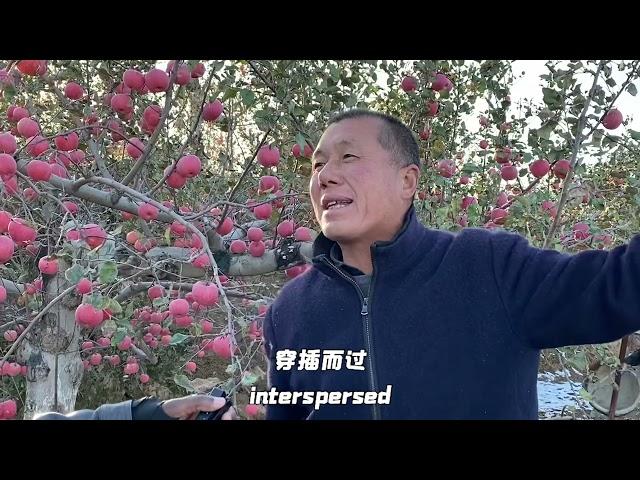 黄河 中国人的母亲河 Chinese Mother River