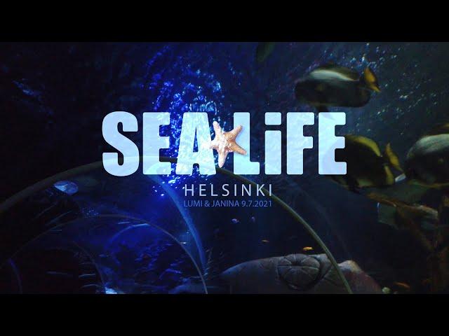 Sea Life Helsinki 9.7.2021