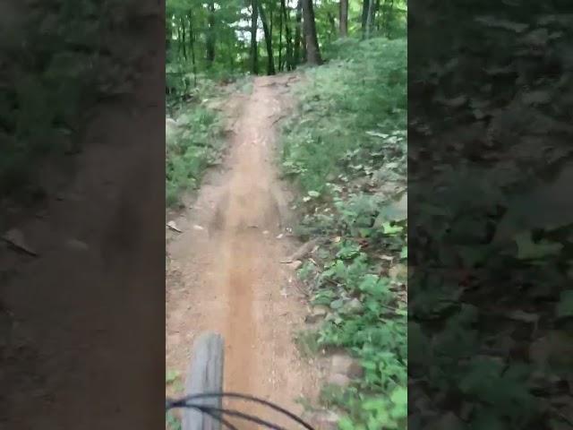 More Mountain Bike ASMR from Caveboy Trail at Windrock Bike Park