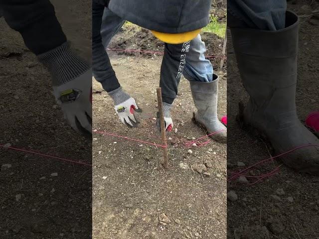 Tying Stringline to the Pin! #concrete #construction #iowa #contractor