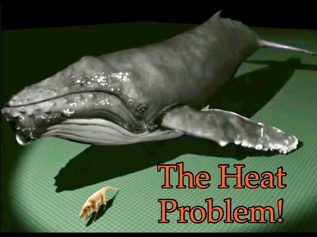 The Heat Problem! Whale Evolution | Illustra Media | Biblicaltours.