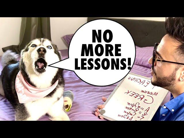 Teaching My Talking Husky a New Language | Greek Language Lesson 