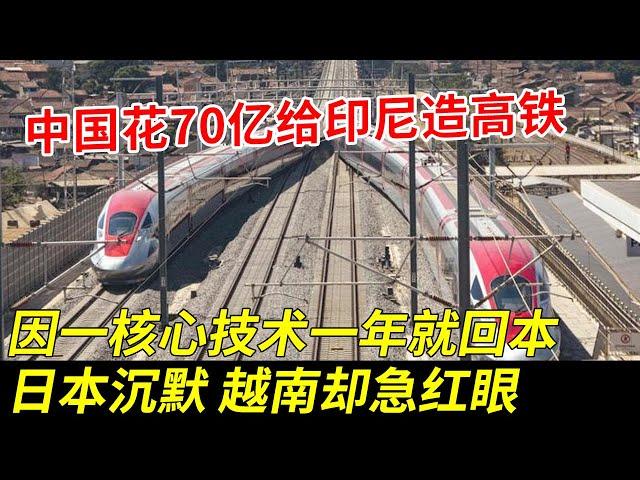 中国花70亿给印尼造高铁，因一项核心技术一年就回本，日本彻底认清现实，越南却急红眼坐不住了