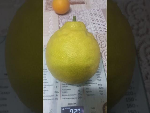 До килограмма не дотянул.