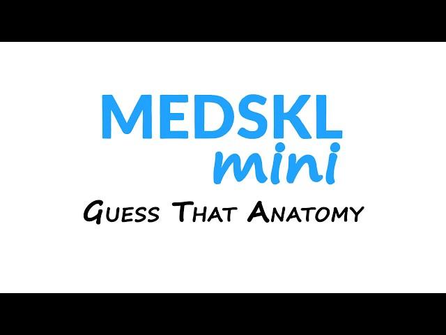 Medskl Mini: Guess That Anatomy - Episode 1