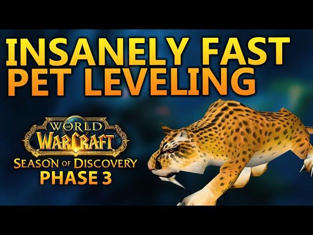 Level Hunter pets FAST in Phase 3 | Season of Discovery | Jeiku Living Flame NA